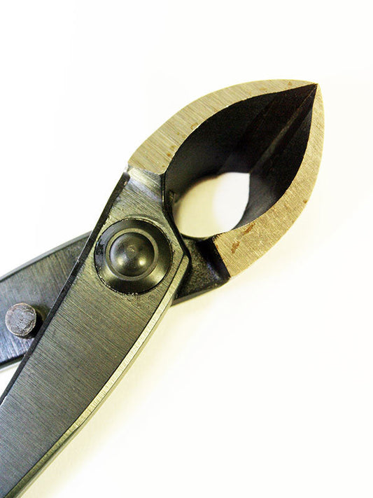 Bonsai concaaftang 205 mm