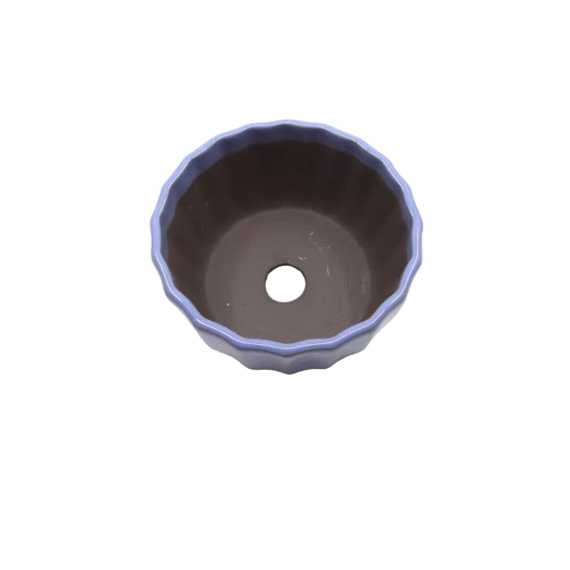 Bonsai pot licht blauw chrysanten 12cm