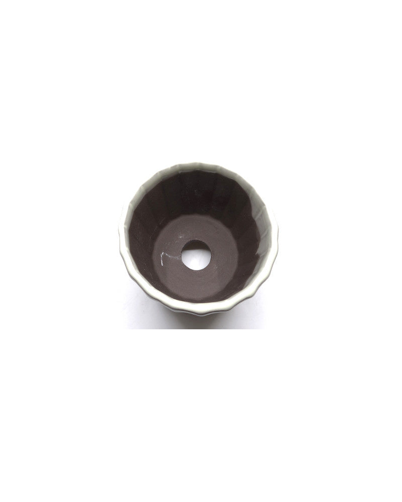 Shohin Bonsai pot wit chrysanten 10cm
