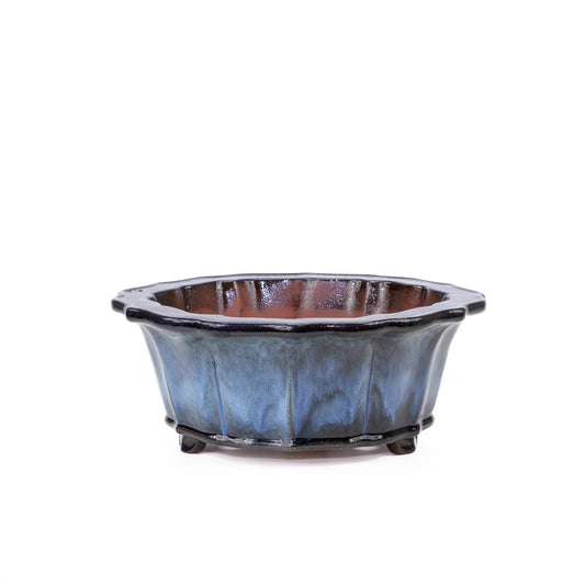 Bonsai pot chrysanten rond blauw zwart 30cm