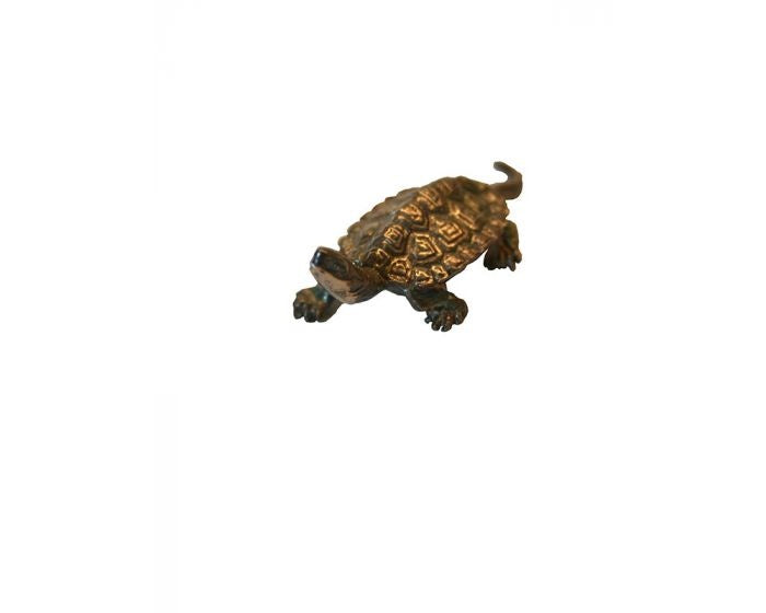 Bonsai Tenpai / Schildpad (zilver)