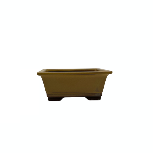 Bonsai pot set - rechthoekig, geglazuurd, geel (14cm breed)