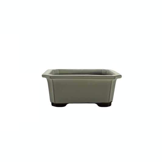 Bonsai pot set - rechthoekig, geglazuurd, crème (14cm breed)