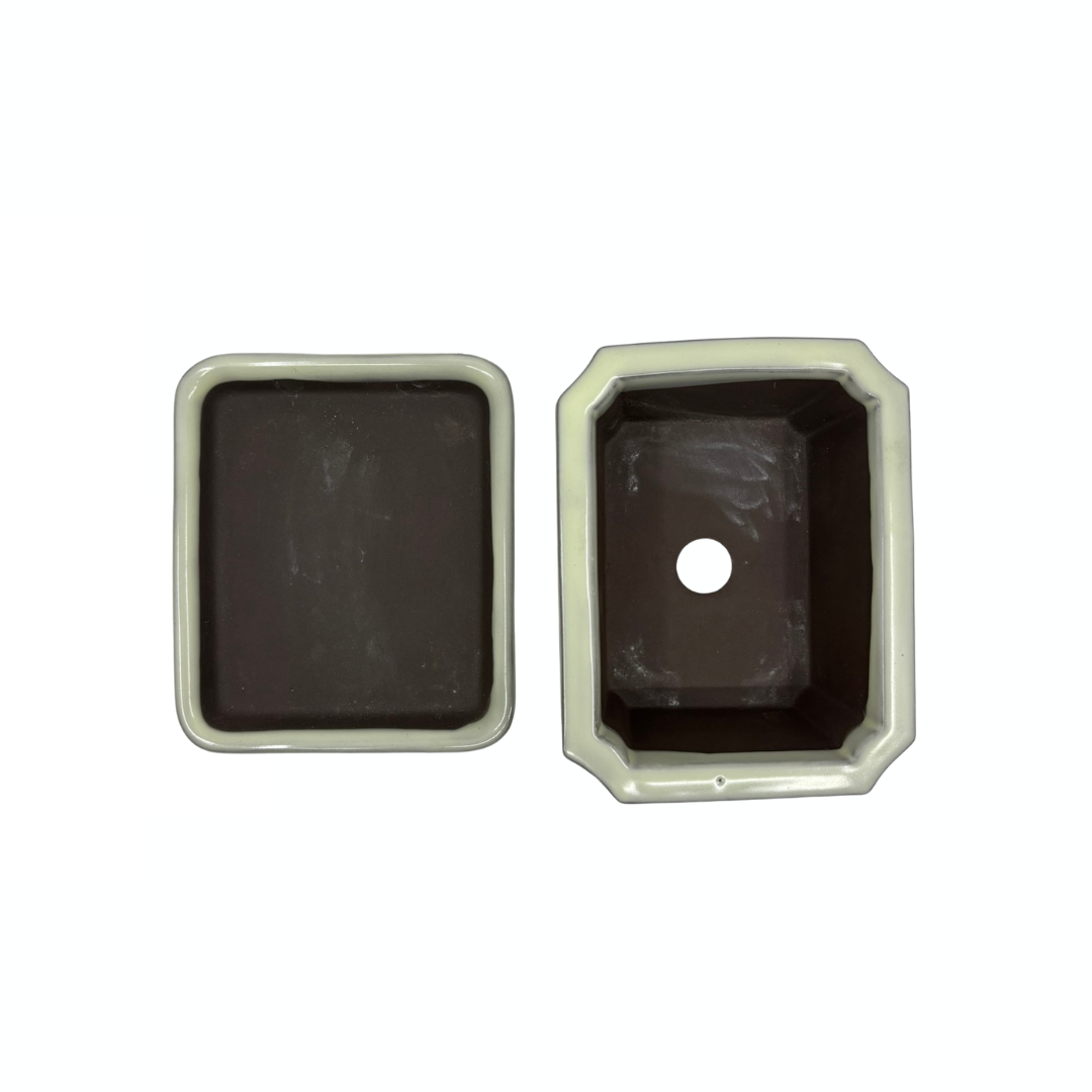Bonsai pot set - rechthoekig, geglazuurd, crème (14cm breed)