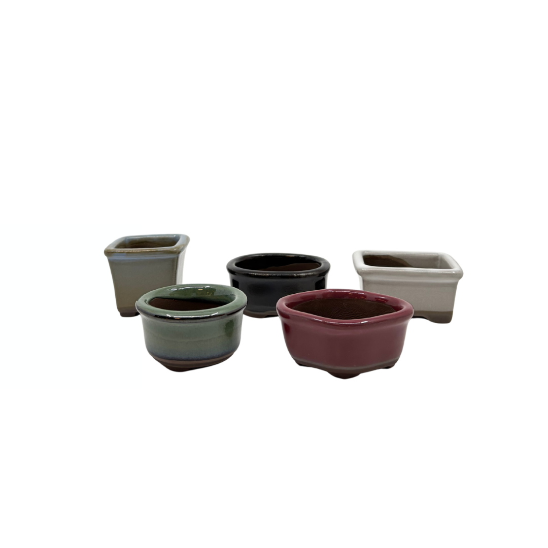 Mame pot set (5)