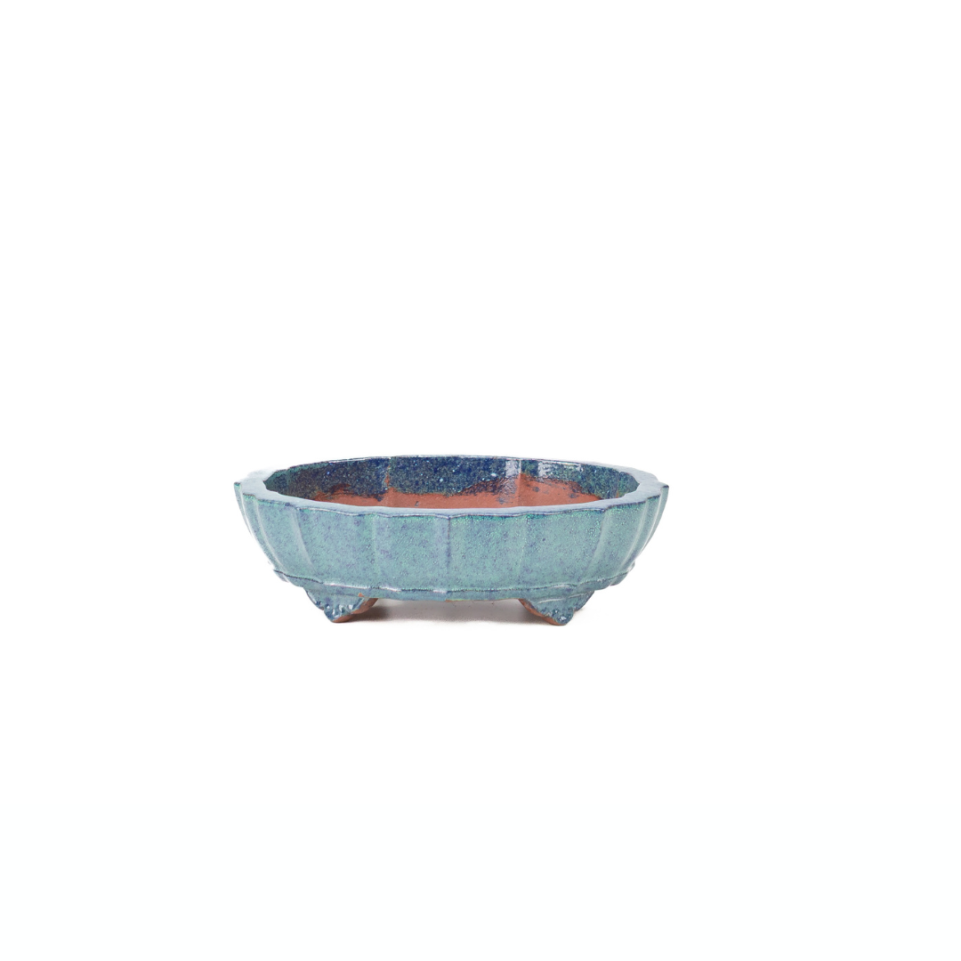 Bonsai pot blauw groen chrysant 17cm