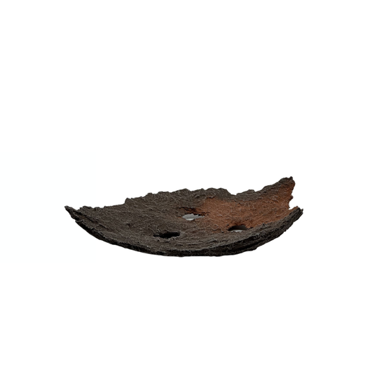 Bonsai slab bruin met rode accenten 26cm