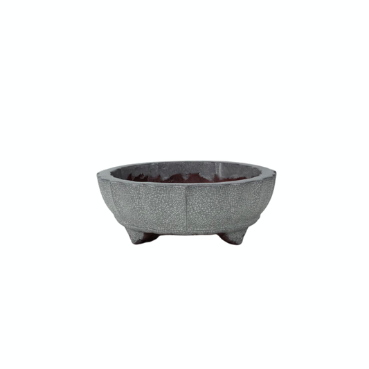 Bonsai pot wit grijs craquelé chrysant 17cm