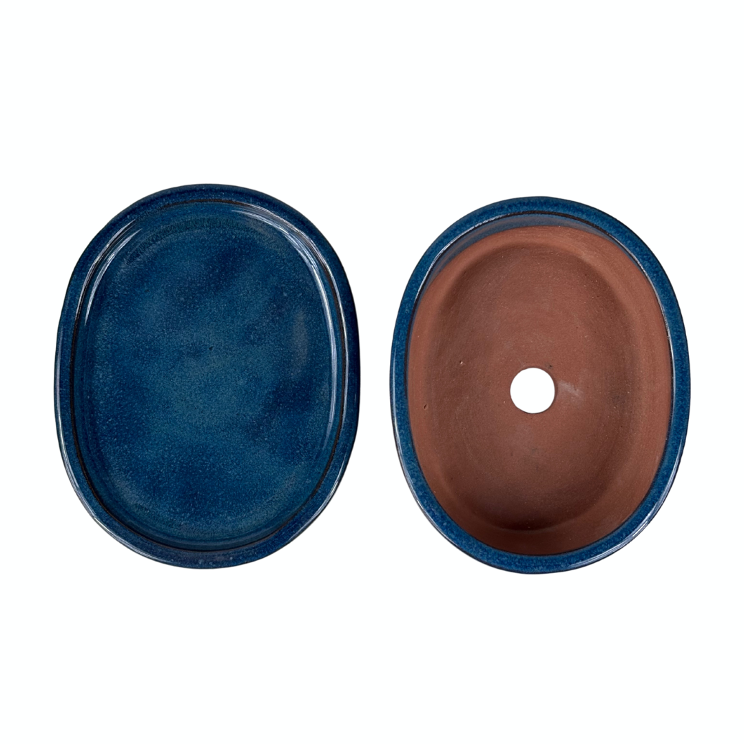 Bonsai pot blauw ovaal 16cm - set