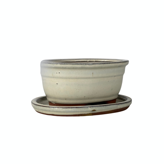 Bonsai pot creme ovaal 16cm - set