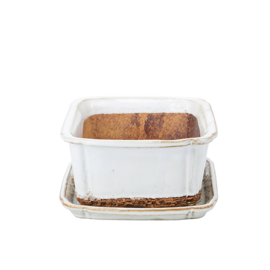 Bonsai pot wit rechthoek 17.5 cm - set