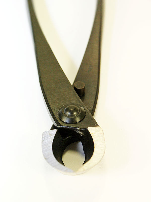 Bonsai concaaftang 205 mm