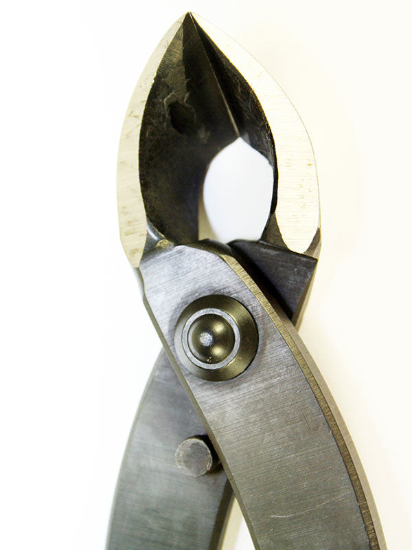 Bonsai concaaftang 270 mm