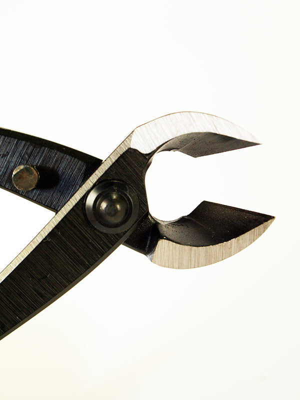 Bonsai concaaftang 170 mm