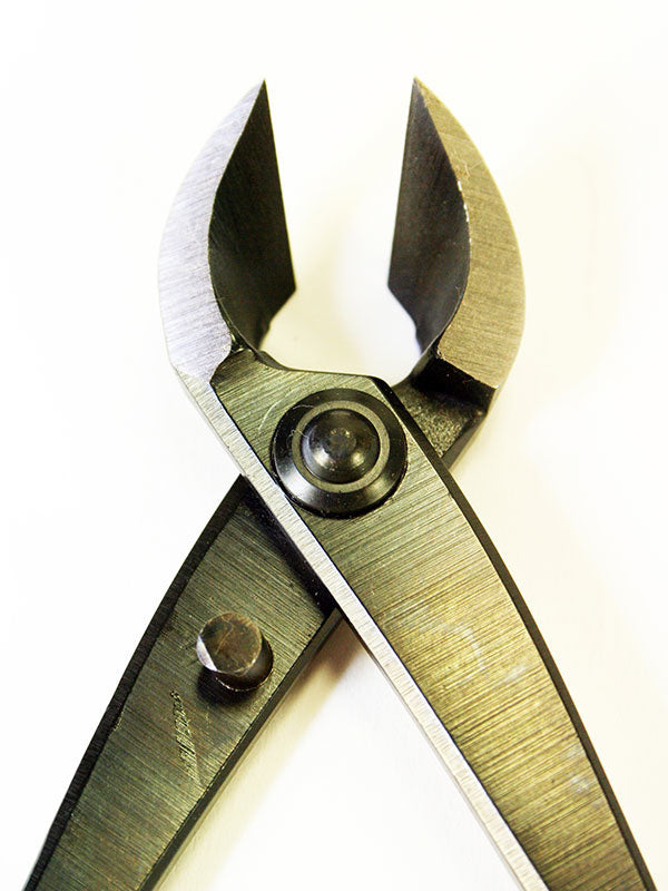 Bonsai concaaftang 170 mm