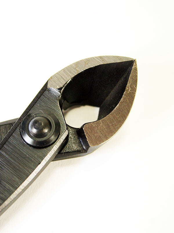 Bonsai concaaftang 170 mm