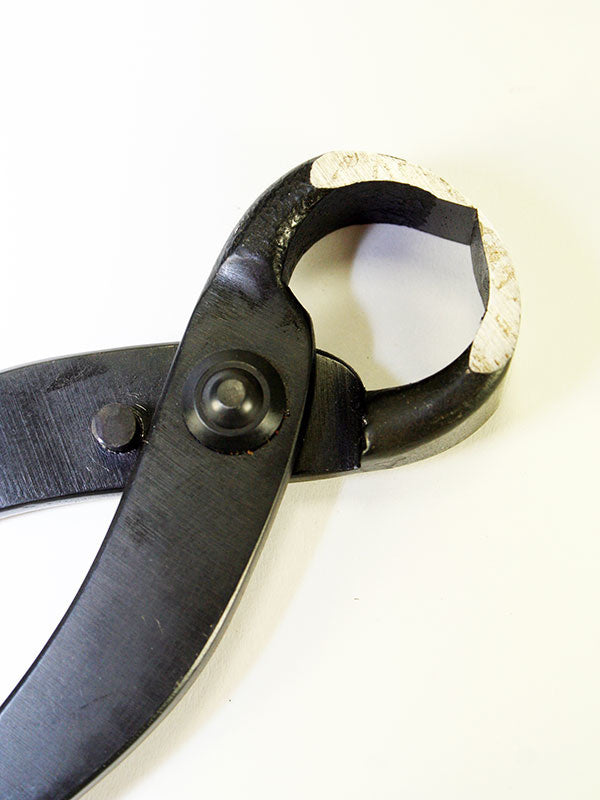 Bonsai worteltang 210 mm