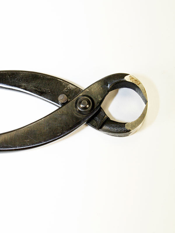 Bonsai worteltang 180 mm 