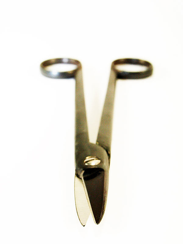 Bonsai knopschaar 170 mm