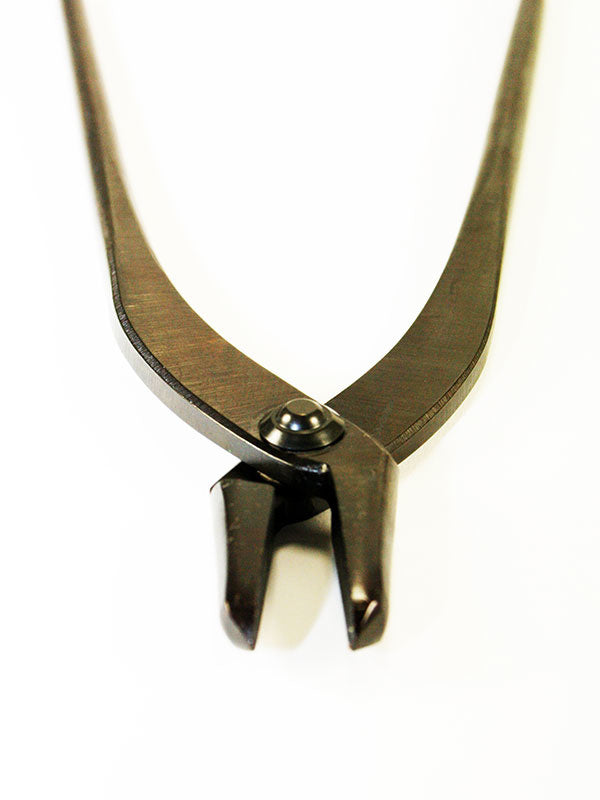 Bonsai jintang 230 mm