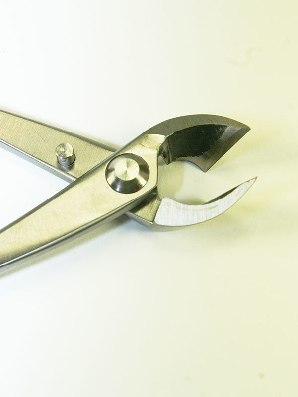 Bonsai concaaftang RVS 180 mm