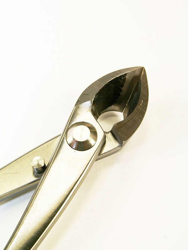 Bonsai concaaftang RVS 180 mm