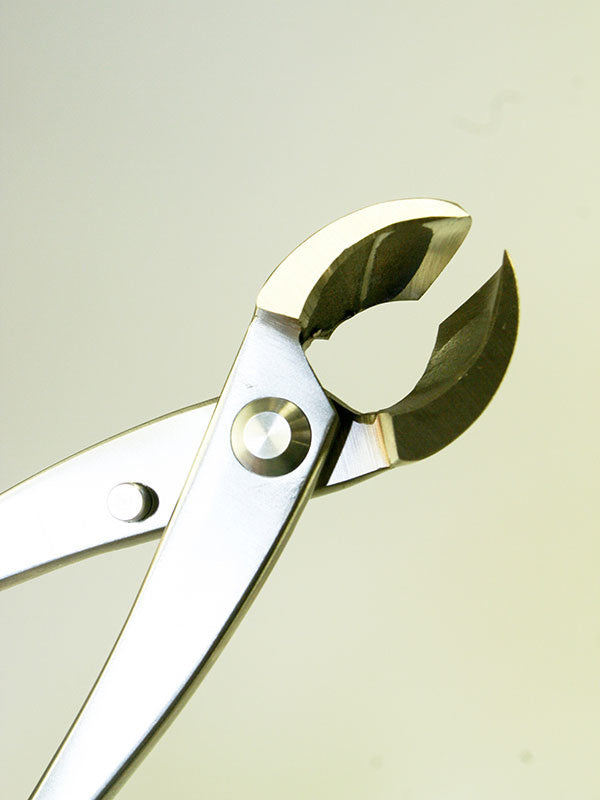 Bonsai concaaftang - Sferische RVS 205 mm