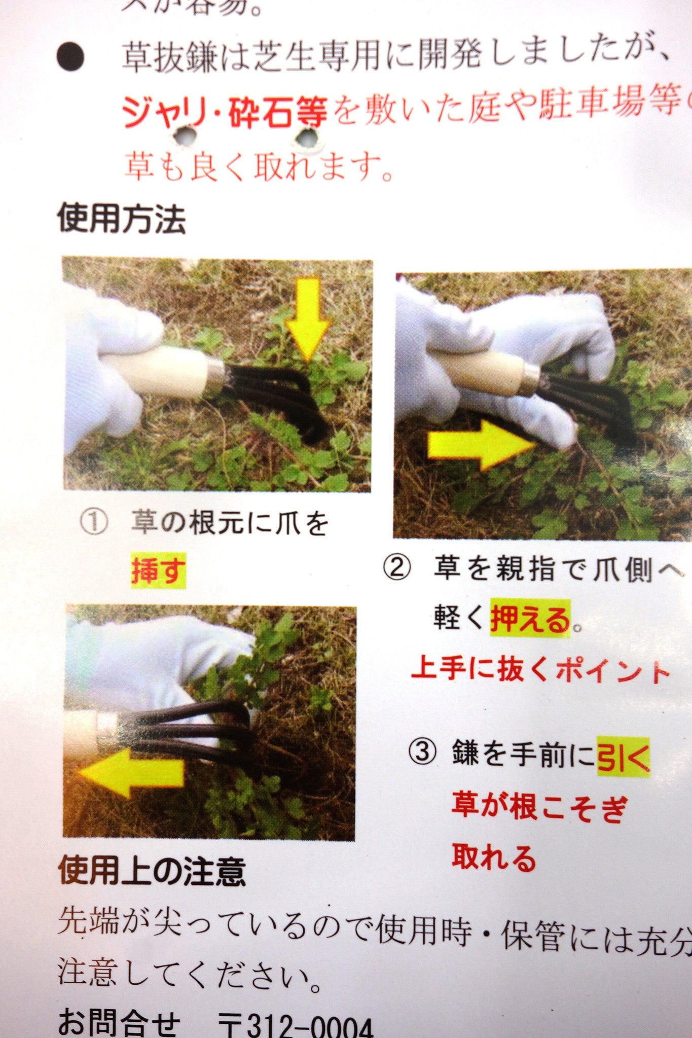 Bonsai wortelhark - Shiba Queen - 200 mm