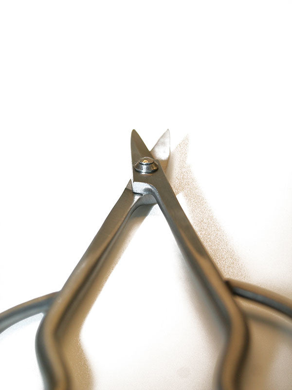 Bonsai Ryuga Snoeischaar RVS 179 mm