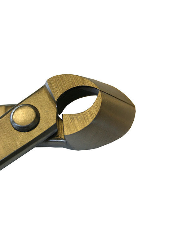 Bonsai Ryuga concaaftang RVS 203 mm