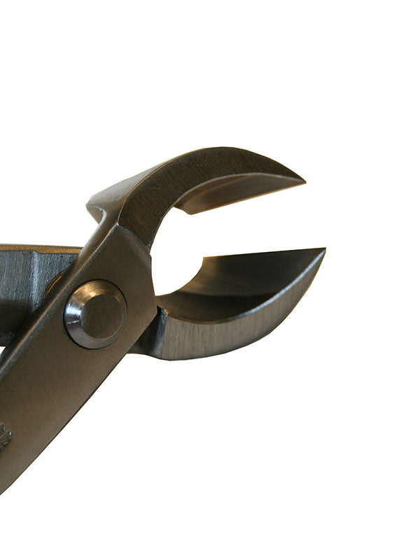 Bonsai Ryuga concaaftang RVS 203 mm