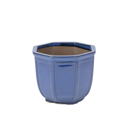 Bonsai pot achthoek cascade blauw 12cm