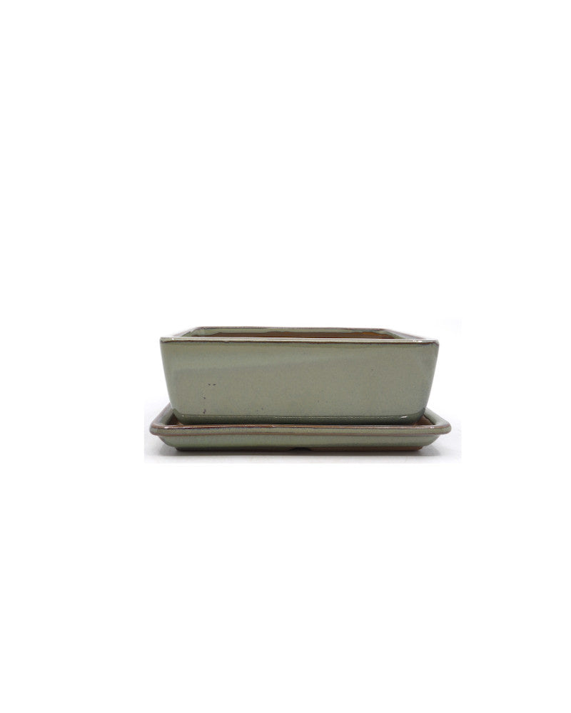Bonsai pot groen beige rechthoekig 12cm - set