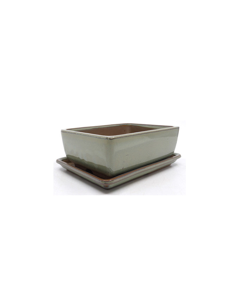Bonsai pot groen beige rechthoekig 14cm - set