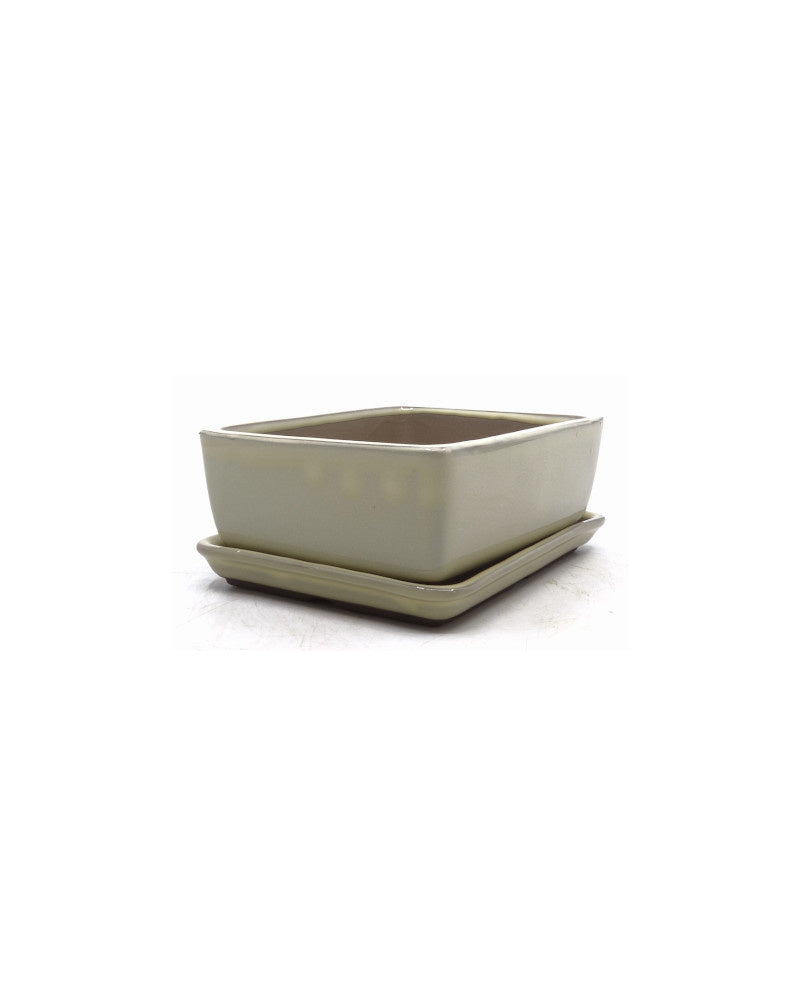 Bonsai pot creme rechthoekig 14cm - set