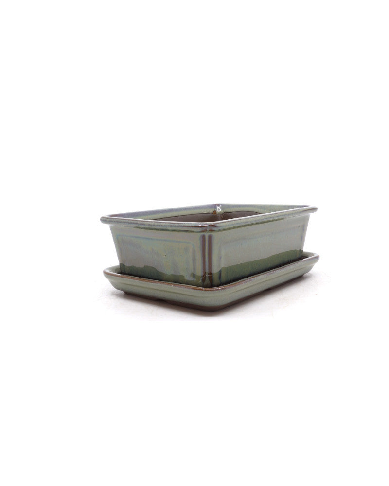 Bonsai pot groen beige rechthoekig 15cm - set