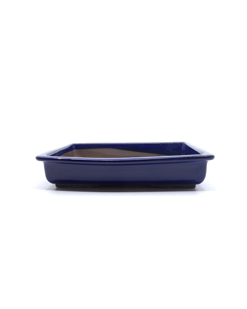 Bonsai pot blauw rechthoekig 27cm