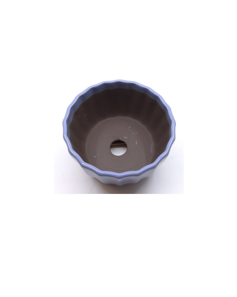 Bonsai pot licht blauw chrysanten 12cm