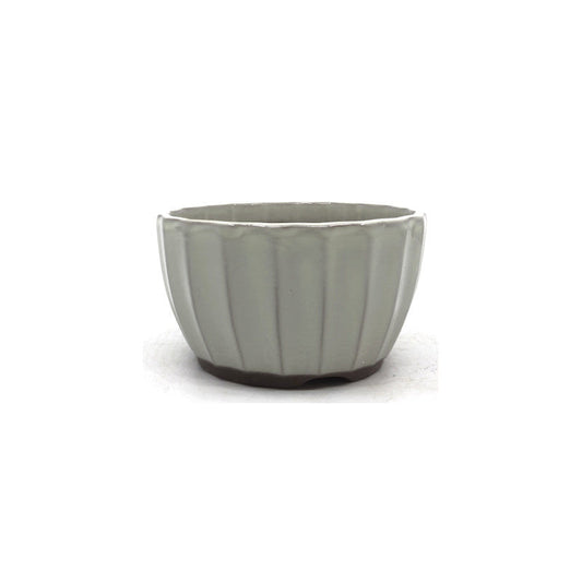 Bonsai pot wit chrysanten 12cm
