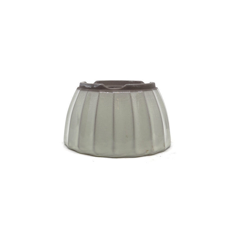 Bonsai pot wit chrysanten 12cm