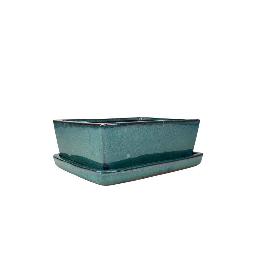 Bonsai pot groen rechthoek 15cm - set