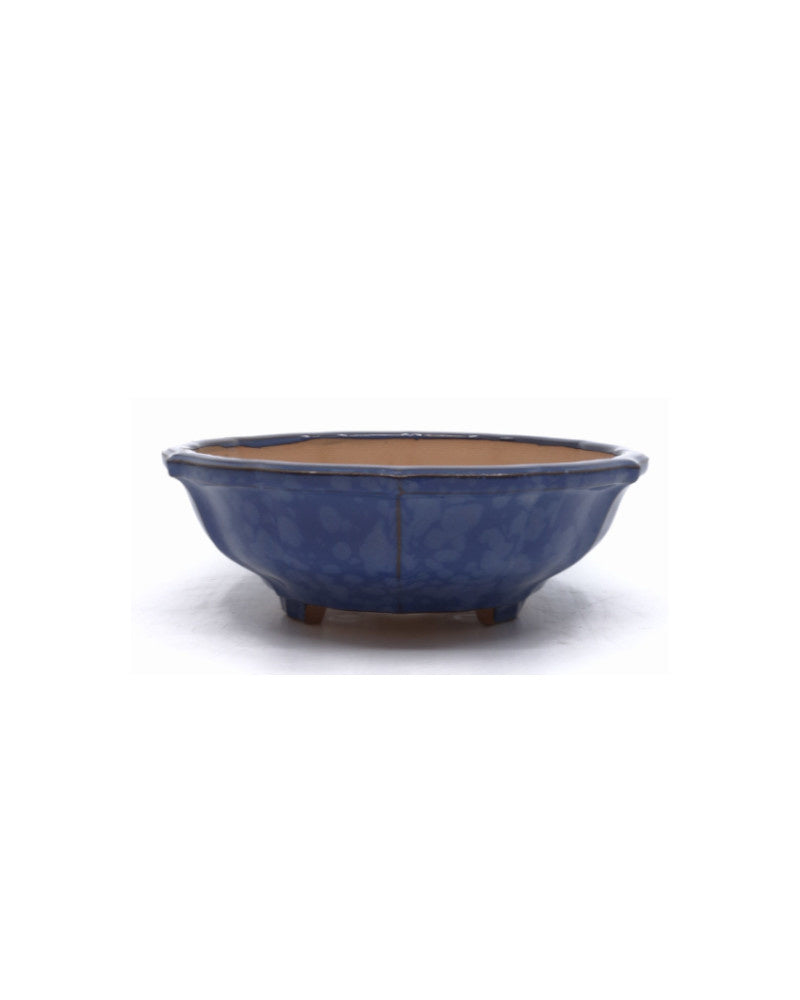Bonsai pot blauw lotus 18cm