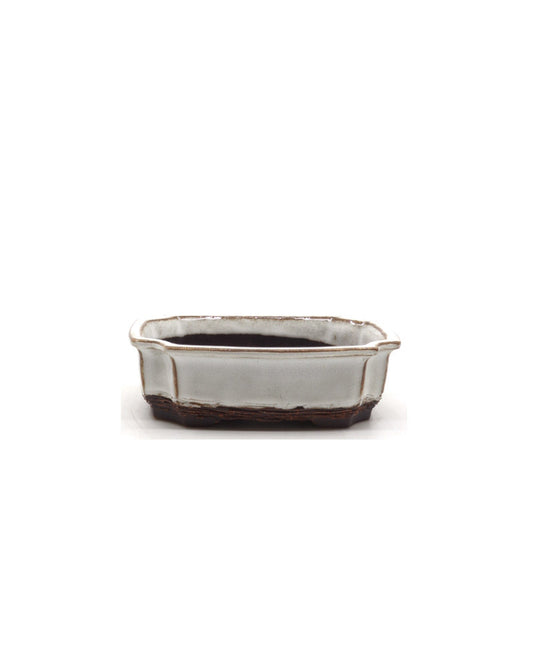 Bonsai pot wit mokko 15cm - set