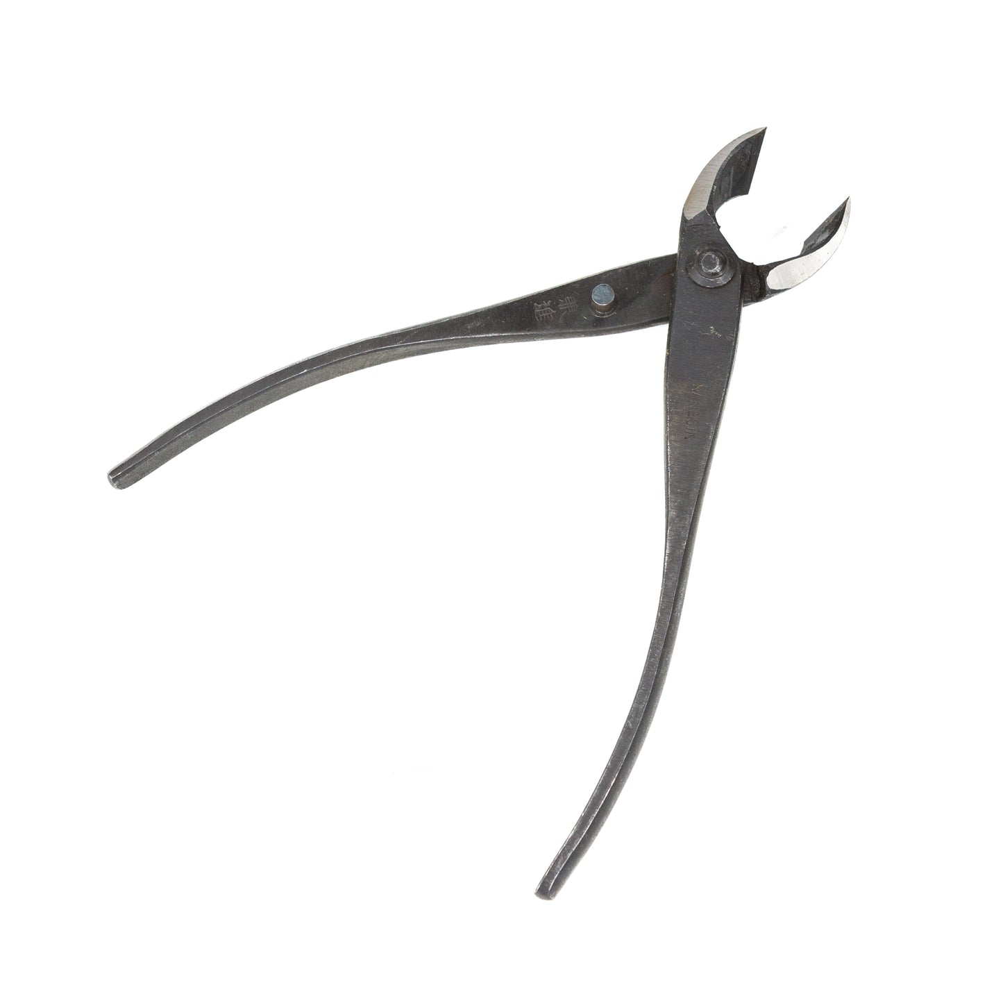 Bonsai Kaneshin concaaftang 165 mm