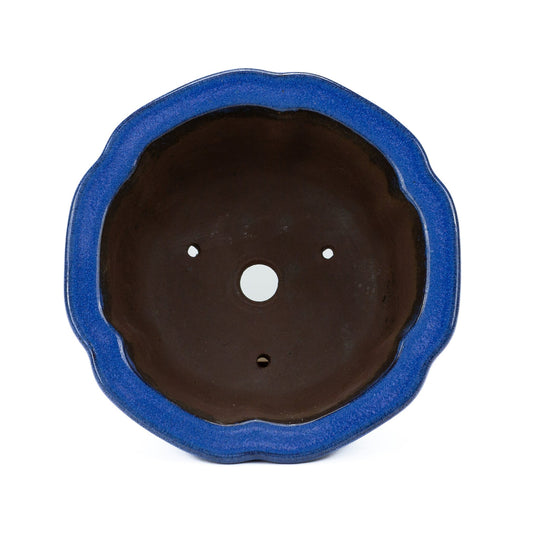 Bonsai pot cascade licht blauw lotus 22cm, hoogte ~ 11cm