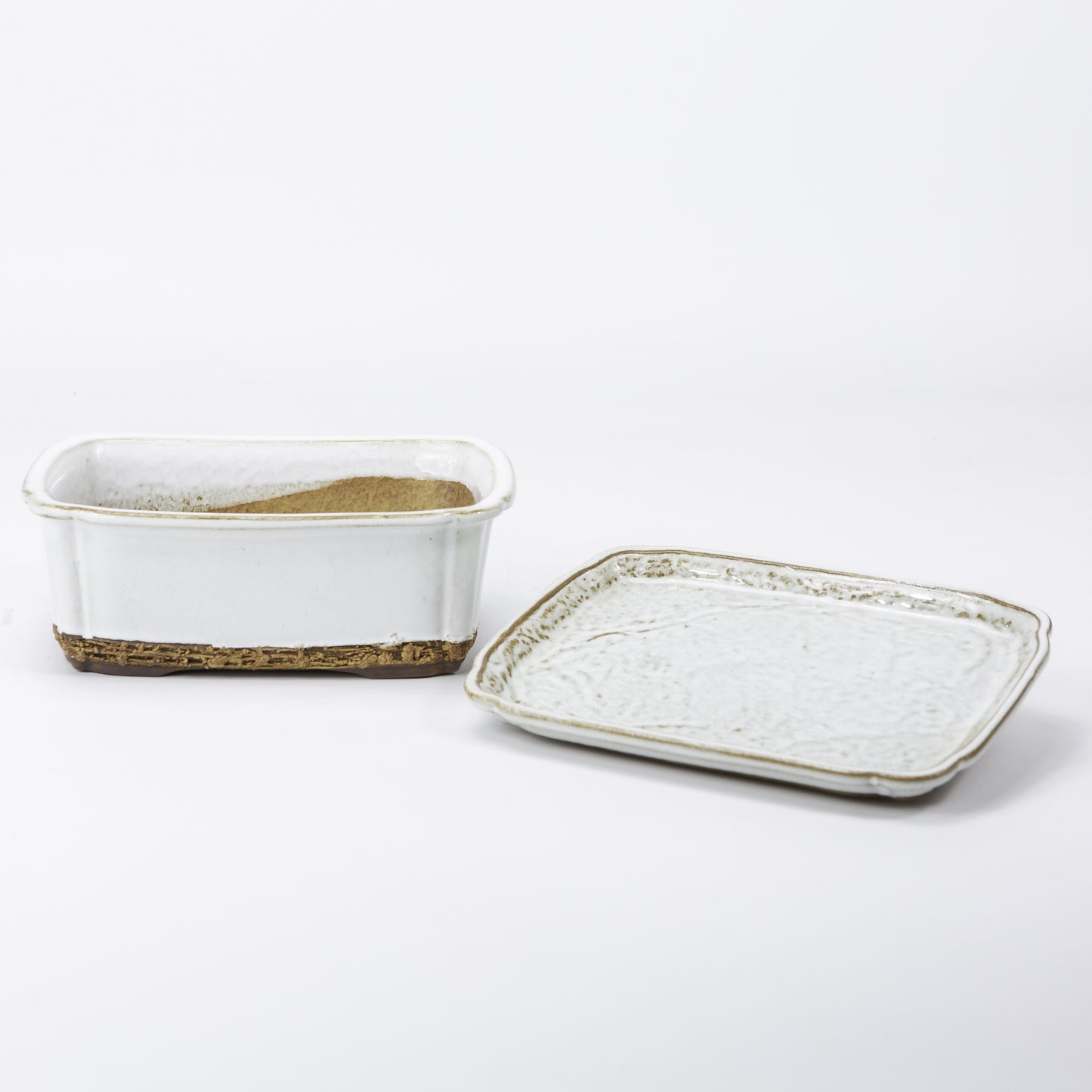 Bonsai pot wit rechthoek 17.5 cm - set