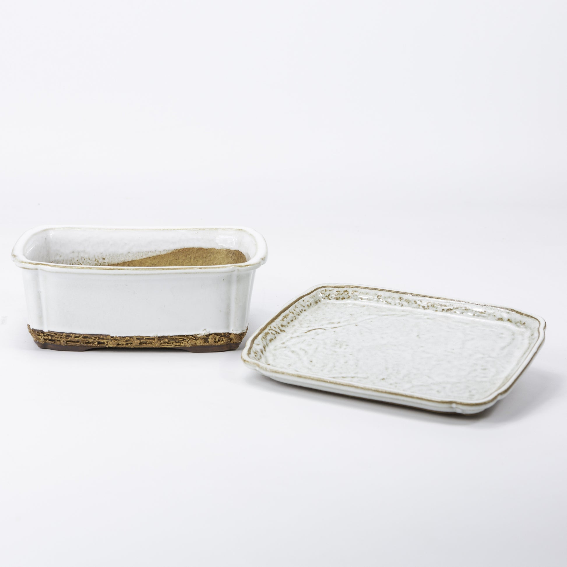 Bonsai pot wit rechthoek 17.5 cm - set