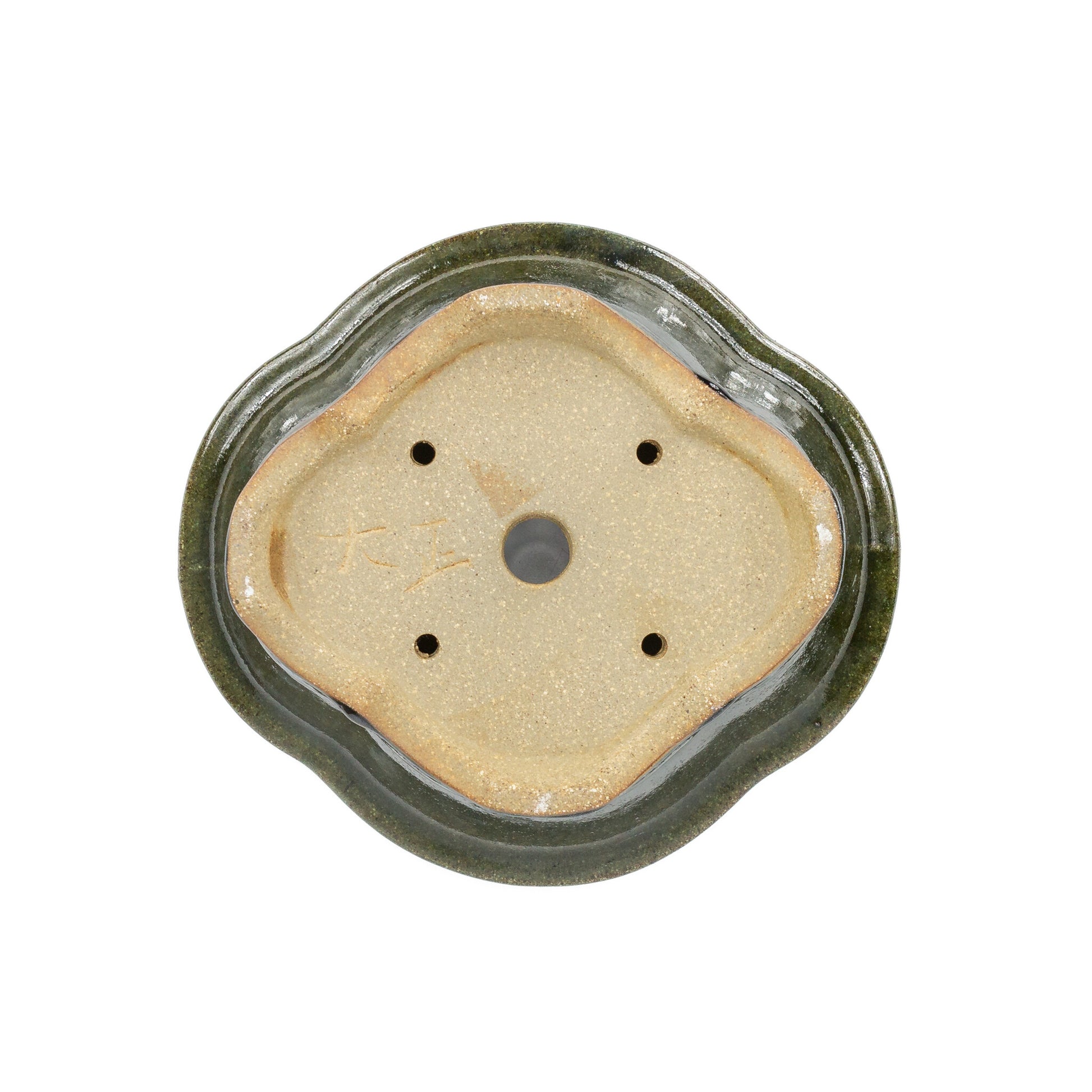 Bonsai pot chrysanten groen zwart 21cm