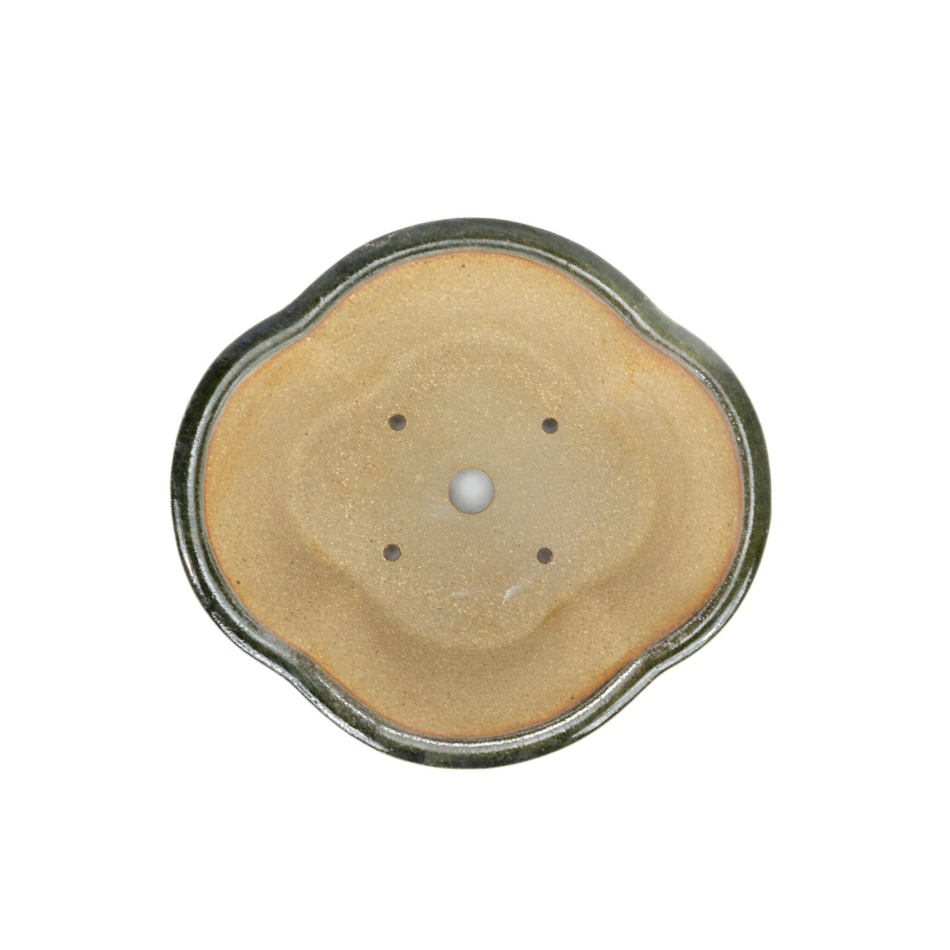 Bonsai pot chrysanten groen zwart 21cm