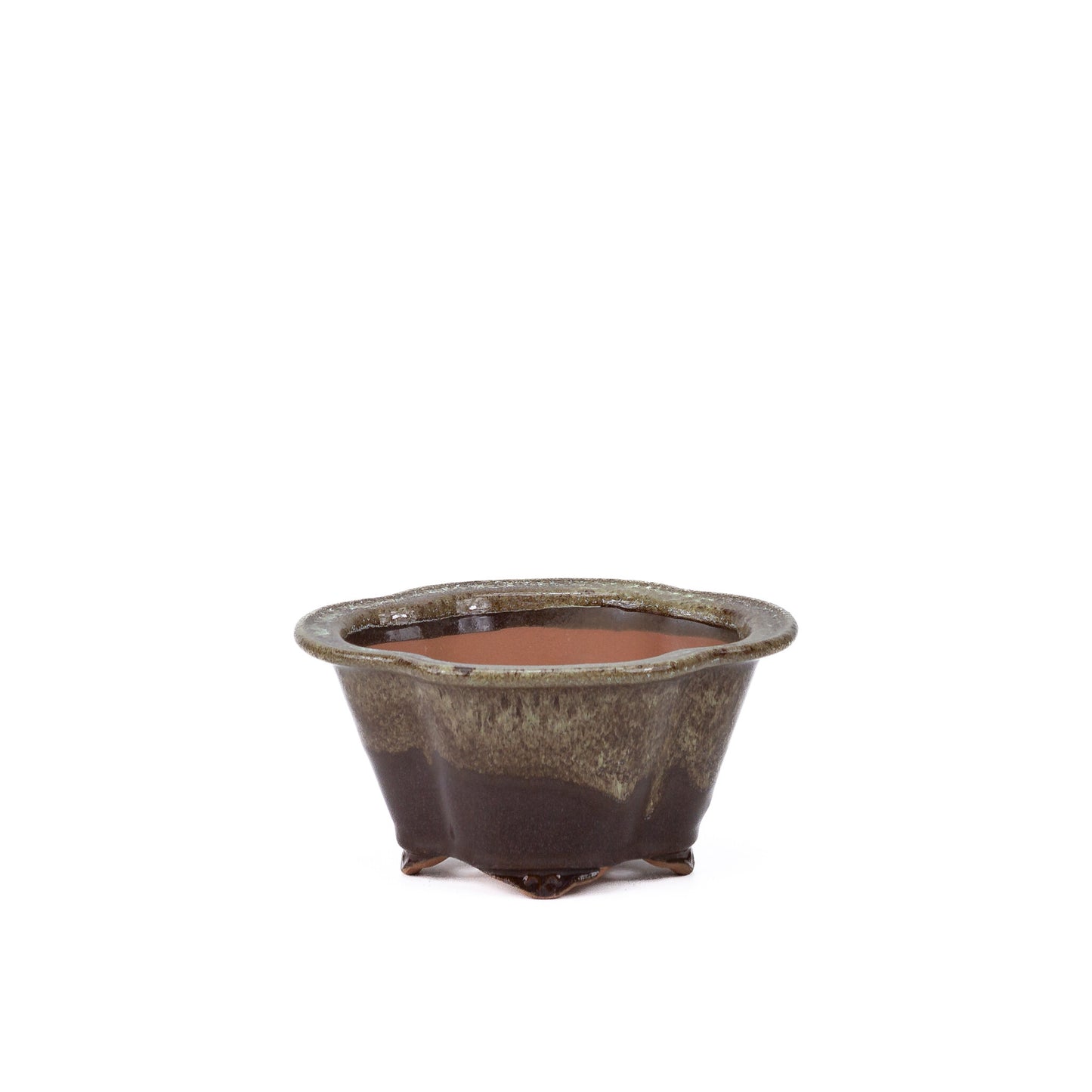 Bonsai pot chrysanten bruin beige 15.5cm